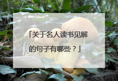 关于名人读书见解的句子有哪些?
