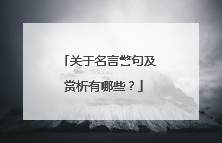 关于名言警句及赏析有哪些?