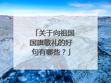 关于向祖国国旗敬礼的好句有哪些？