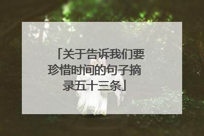 关于告诉我们要珍惜时间的句子摘录五十三条