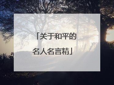 关于和平的名人名言精