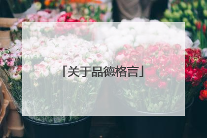 关于品德格言