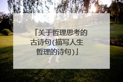 关于哲理思考的古诗句(描写人生哲理的诗句)