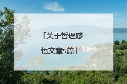 关于哲理感悟文章5篇