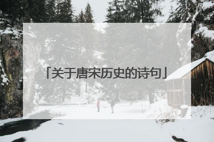 关于唐宋历史的诗句
