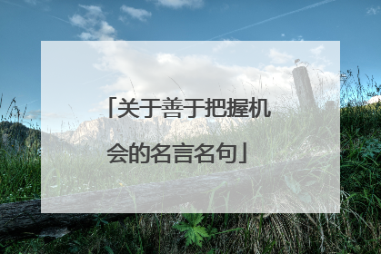 关于善于把握机会的名言名句