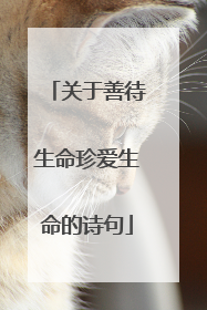 关于善待生命珍爱生命的诗句