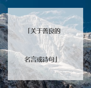关于善良的名言或诗句