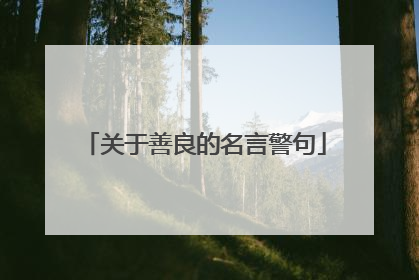 关于善良的名言警句