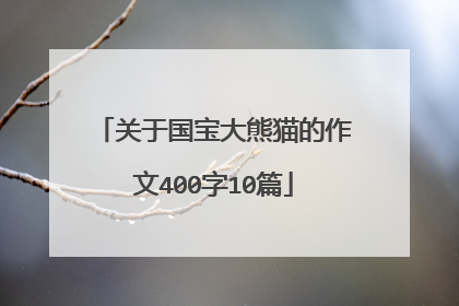 关于国宝大熊猫的作文400字10篇