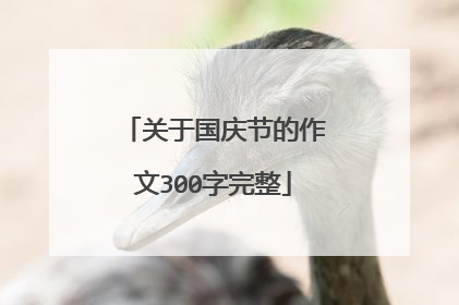 关于国庆节的作文300字完整
