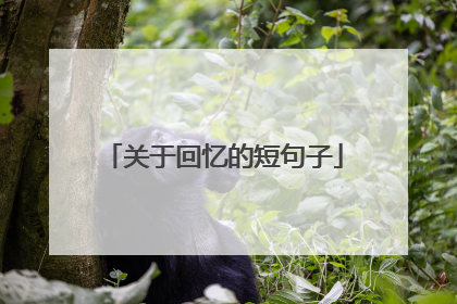 关于回忆的短句子