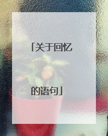 关于回忆的语句