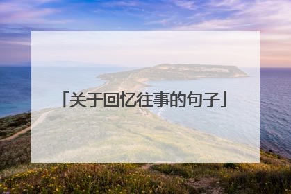关于回忆往事的句子