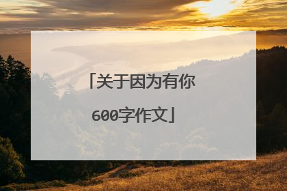 关于因为有你600字作文