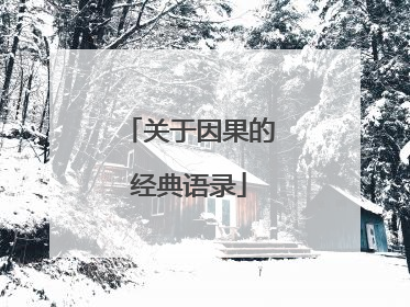 关于因果的经典语录