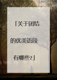 关于团结的优美语段有哪些?