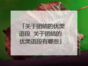 关于团结的优美语段 关于团结的优美语段有哪些