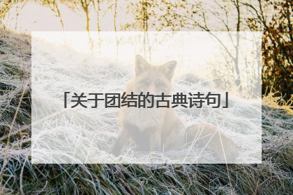 关于团结的古典诗句