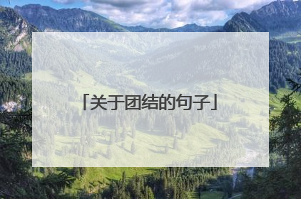 关于团结的句子