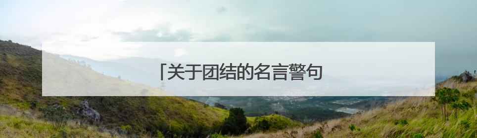 关于团结的名言警句:胜利也就有了保证