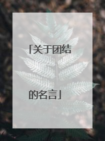 关于团结的名言