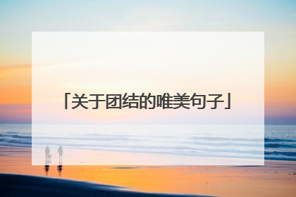 关于团结的唯美句子