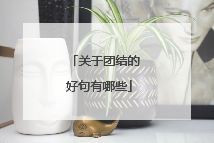 关于团结的好句有哪些