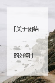 关于团结的好句