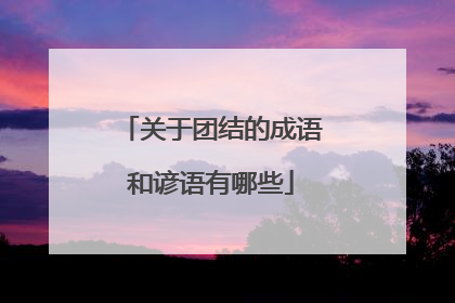 关于团结的成语和谚语有哪些