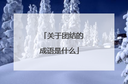 关于团结的成语是什么