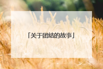 关于团结的故事