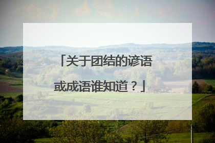关于团结的谚语或成语谁知道?