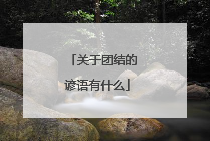 关于团结的谚语有什么