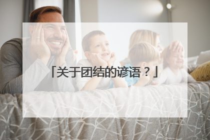 关于团结的谚语？