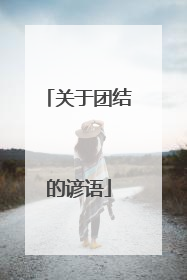关于团结的谚语