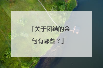 关于团结的金句有哪些?