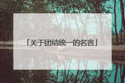 关于团结统一的名言