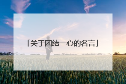 关于团结一心的名言