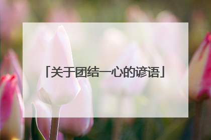 关于团结一心的谚语