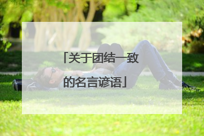 关于团结一致的名言谚语