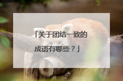 关于团结一致的成语有哪些?