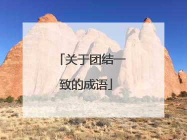 关于团结一致的成语
