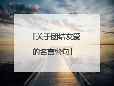 关于团结友爱的名言警句