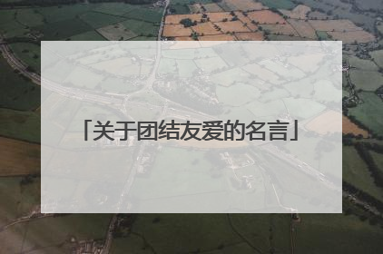 关于团结友爱的名言