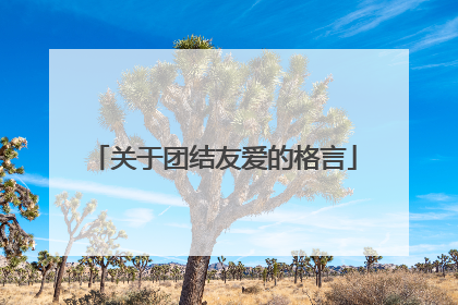 关于团结友爱的格言