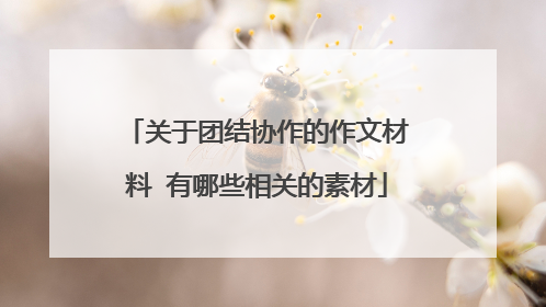 关于团结协作的作文材料 有哪些相关的素材