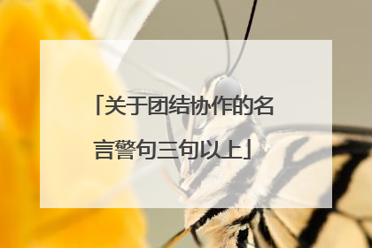 关于团结协作的名言警句三句以上