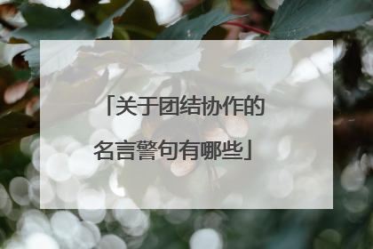 关于团结协作的名言警句有哪些