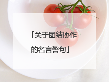 关于团结协作的名言警句